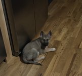IMG_7969.jpeg