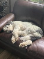 IMG_2002.jpeg