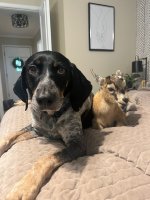 IMG_7255.jpeg