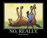 IMG_1215.jpeg