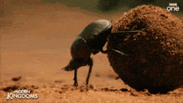 200-414370526.gif