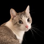 IMG_1990.jpeg