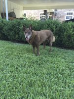 IMG_0547.jpeg