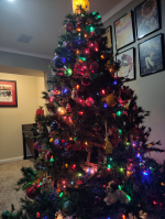 tree.PNG