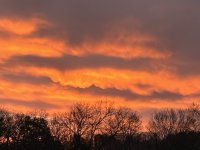 IMG_4427.jpeg