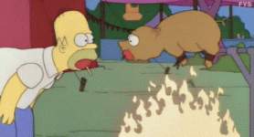 1709387690348.gif