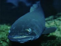 IMG_5283.jpeg
