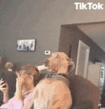 IMG_0903.gif