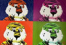 IMG_3366.jpeg