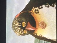 IMG_1792.jpeg