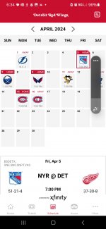 Screenshot_20240405_063449_Red Wings.jpg