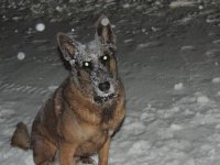 2017-12-12 20.58.54.jpg