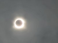 20240408_133711.jpg