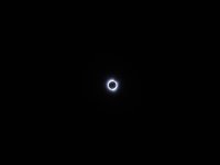 20240408_151045.jpg