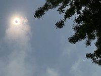 IMG_0568.jpeg
