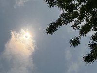 IMG_0569.jpeg