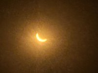 IMG_2886.jpeg