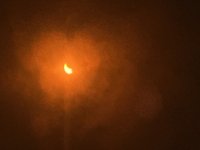IMG_2885.jpeg