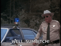 smokey-and-the-bandit-ein-ausgekochtes-schlitzohr (1).gif