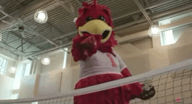 trim.99E225AF-7B14-4942-AAB5-1E4D017C16DE.gif
