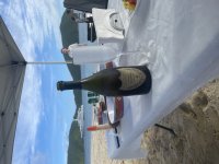 IMG_3720.jpeg