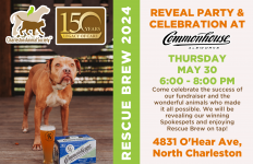 RESCUE BREW 2024 REVEAL PARTY.png