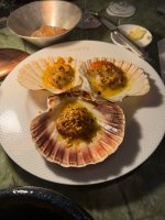 IMG_1888.jpeg
