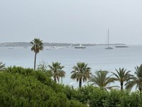 IMG_2089-compressed.jpeg