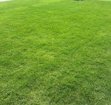 IMG_7890.jpeg