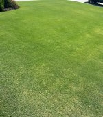 IMG_7894.jpeg