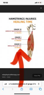skeletol picture of grage 2 hamstring tear at DuckDuckGo.jpeg