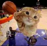 IMG_5561.jpeg