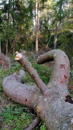 IMG_0040.jpeg