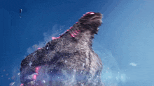 IMG_1912.gif
