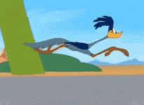 IMG_9853.gif