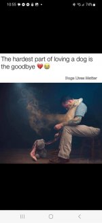 dog bye.jpg
