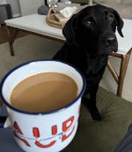 IMG_5141.jpeg