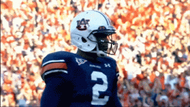 200 (8).gif