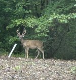 IMG_6323.jpeg
