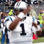 cam-newton-flex.gif