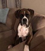 IMG_8022.jpeg