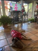 IMG_3286.jpeg