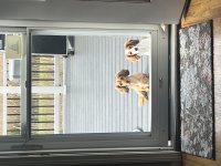 IMG_3419.jpeg
