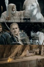 this-is-shadowfax-second-fastest-creature-on-middle-earth-then-s-fastest.jpeg