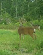 IMG_3655.jpeg