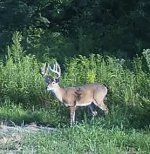 IMG_3656.jpeg