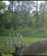 IMG_3657.jpeg