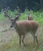 IMG_3660.jpeg