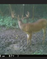 IMG_3341.jpeg
