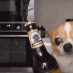 IMG_1994.gif
